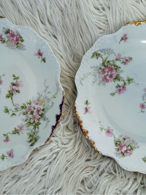 Vintage Haviland Limoges France porcelain plate pair- pink floral rose pattern